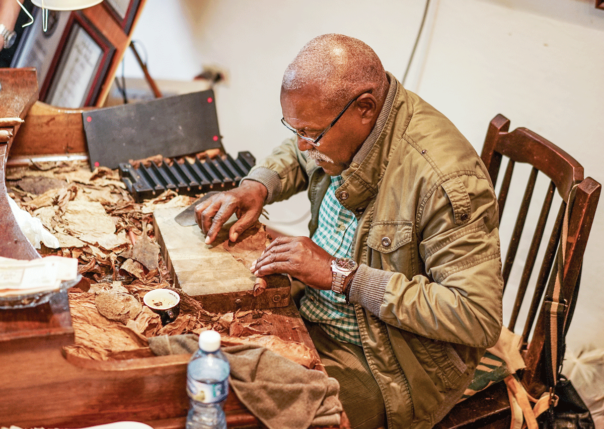 Cigars: The Art of Rolling